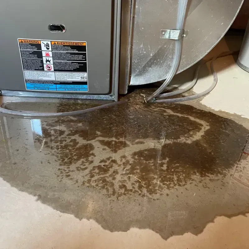 Appliance Leak Cleanup in Wayne County, IL